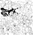 create a colouring book page