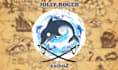 custom high quality one piece jolly roger for any purpose