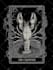 draw awesome card game, tarot design, oracle, tcg, dark art