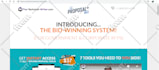 build websites, webportals in PHP, wordpress