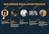 design professional business infographics, flowcharts, diagrams, and workflow