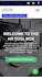 build a responsive business wordpress website