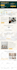 fix wix website bugs or layout, responsive, seo cms issues or wix studio issue