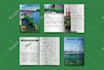 design professional business brochure
