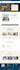 clone, redesign, clean and responsive wordpress website design by elementor pro