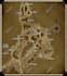 draw high quality professional fantasy map for dnd campaign, roleplaying, books
