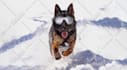resize and optimize your photos to publish on your website