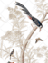 professional background removal  remove bg from image  photo bg remove