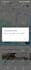 report leaked copyright infringement google,fb,telegram,ig,tiktok,reddit,onlyfan
