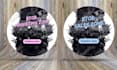design your any events banners flyers posters