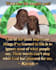 illustrate your photo into amazing vector portrait