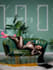retouching, editing, photoshop manipulation for you image