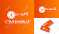 design professional custom logo design unique high quality