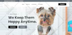 build website, website development, full stack developer, front end developer