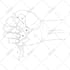 do vector tracing using pen tool on adobe illustrator, pen tool tracing