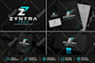 design a professional logo, brand identity, and brand kit