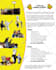 eye catching flyer and poster design