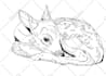 draw amazing sketch and line art drawing to be poster