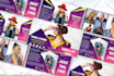 design clickable epk, press kit, media kit, one sheet