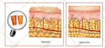 do medical scientific illustration