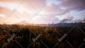 create a 3d music visualizer and teaser for your track