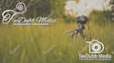 do professional photography logo