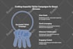 design clone stunning websites with elementor pro, custom elementor website
