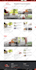 create wordpress online newspaper website or wordpress blog