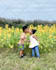 edit and enhance your picture on high resolution