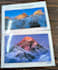 send you a postcard from nepal with free shipping