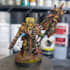 assemble and paint your miniatures