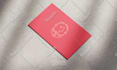 do a modern minimalist logo and branding kit for your business