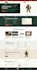do website development, design redesign, and build wordpress website