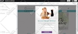 design popup, signup form using klaviyo