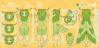 create a reference sheet for your furry character