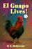 fix, edit, resize, format amazon kindle kdp, ingramspark book cover