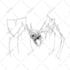 draw a high quality detailed illustration