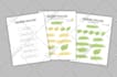 design your checklist, to do list, schedule