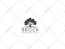 design a minimalist business logo with branding kit, brand identity guidelines