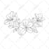 draw hand drawn botanical line art for tattoo, packaging, and floral logo