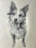 make a hand drawing of your pet