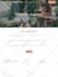build squarespace website design, redesign squarespace, website development