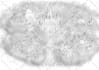 draw fantasy map, landscape design, rpg map dndart