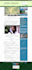 convert or clone wix website to wordpress website