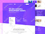 build a custom, high converting wordpress website