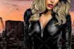 do detailed custom vector artworks