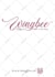 shopify, web banner, hero image, etsy, product banner