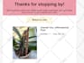 be your shopify virtual assistant shopify manager social media marketing manager