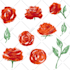 create textured seamless patterns and prints