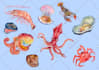 illustrate your childrens book in watercolour style